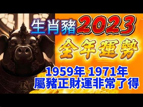 2023 豬